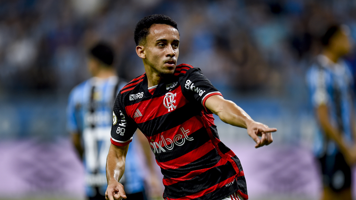 Veja as chances do Flamengo conquistar o título do Brasileirão e a vaga na Libertadores.