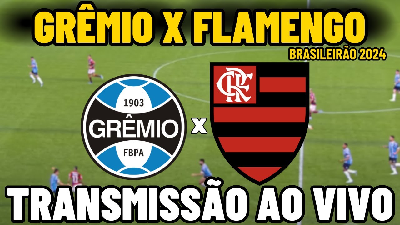 Assista ao jogo entre Grêmio e Flamengo com o Coluna do Fla