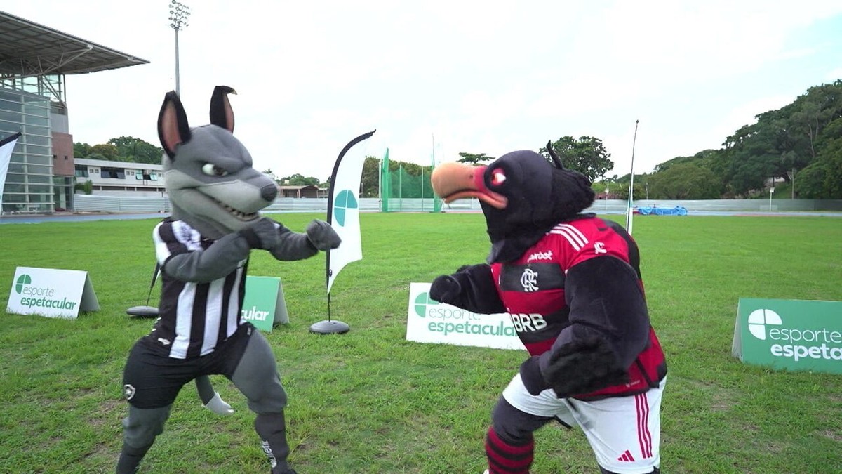 Bira, o mascote do Botafogo, avança para a final do Futebol Fantasia após vencer a primeira eliminatória; confira o desempenho!